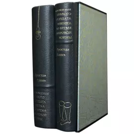 Книга в кожаном переплете "Похождения бравого солдата Швейка во время мировой войны" Я. Гашек, в 2-х томах