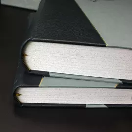 Книга в кожаном переплете "Похождения бравого солдата Швейка во время мировой войны" Я. Гашек, в 2-х томах