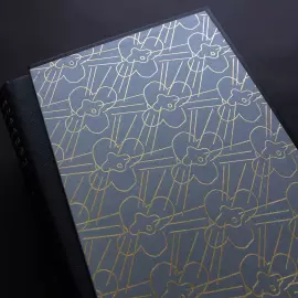 Книга в кожаном переплете "Похождения бравого солдата Швейка во время мировой войны" Я. Гашек, в 2-х томах