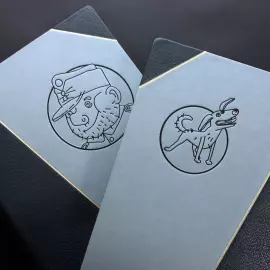 Книга в кожаном переплете "Похождения бравого солдата Швейка во время мировой войны" Я. Гашек, в 2-х томах