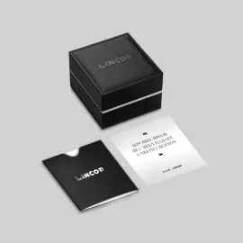 Наручные механические часы Lincor 4119 с автоподзаводом, золотисто-черные