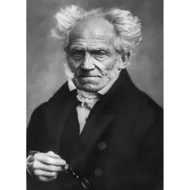 A leather-bound book "Aphorisms of worldly wisdom. Arthur Schopenhauer"