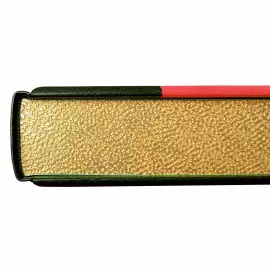 Книга в кожаном переплете "Италия. История искусства."