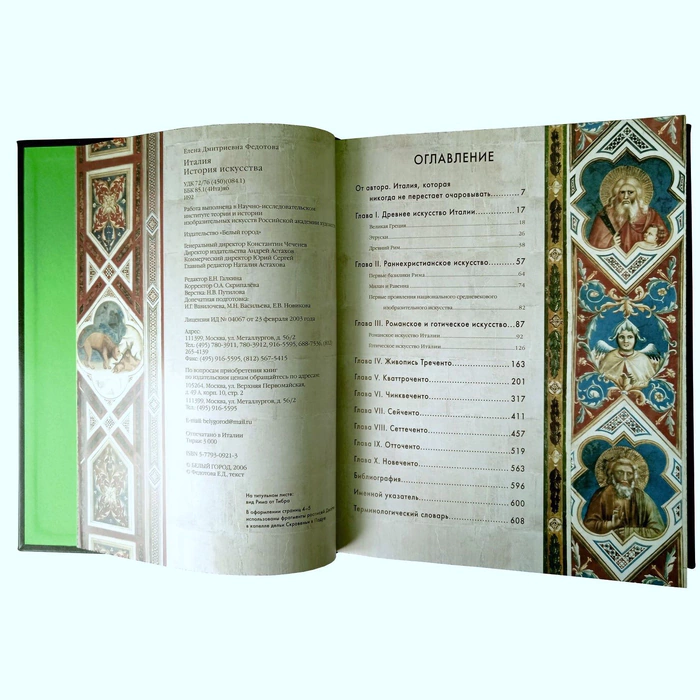 Книга в кожаном переплете "Италия. История искусства."