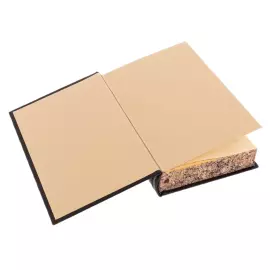 Подарочная книга в кожаном переплете "Первые основания металлургии или рудных дел" Ломоносов М.В.