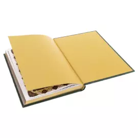 Коран украшенный "Свет Писания" большой, Златоуст