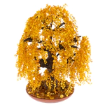 Amber tree "Weeping Willow"