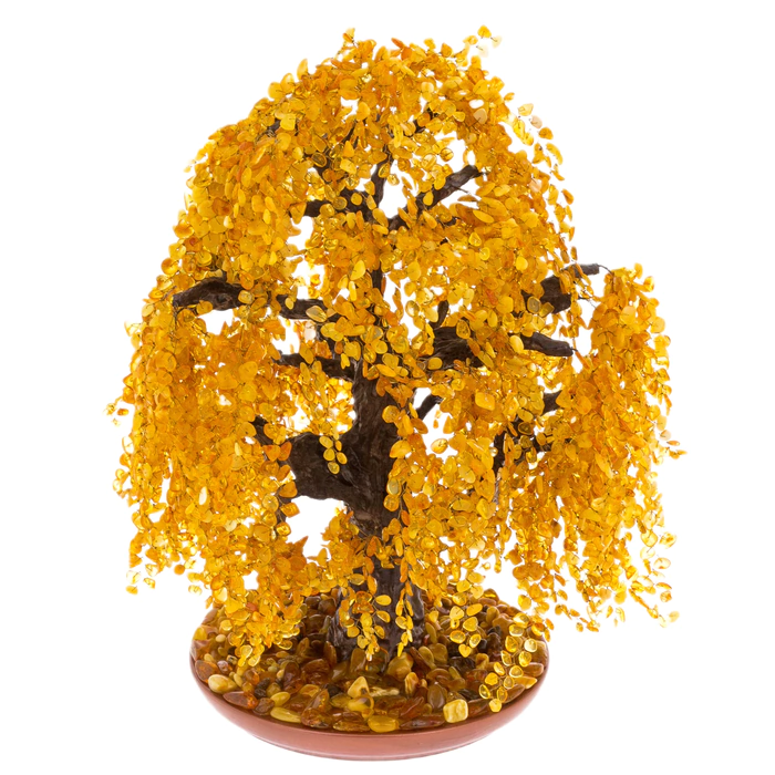 Amber tree "Weeping Willow"