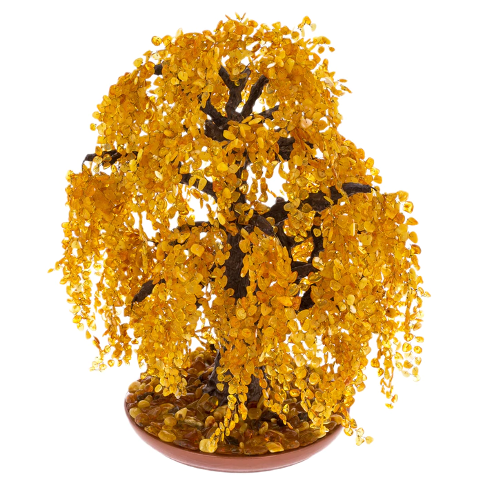 Amber tree "Weeping Willow"