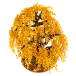 Amber tree "Weeping Willow"