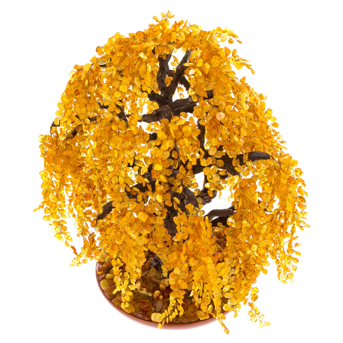 Amber tree "Weeping Willow"