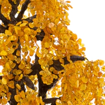 Amber tree "Weeping Willow"