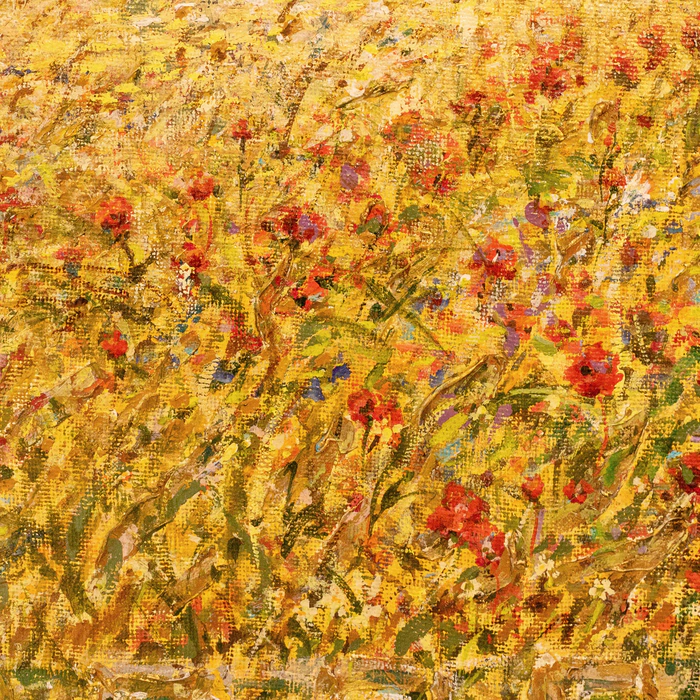 Author's oil painting "Poppies"