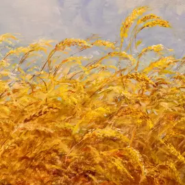 Авторская картина маслом "Изобилие хлеба. Золотой импрессион"