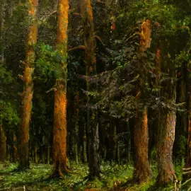 Author's oil painting "River in the forest"