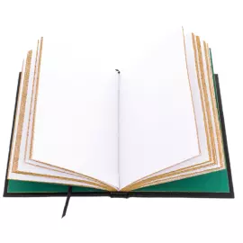 Ежедневник в кожанном переплете "Санкт-Петербург. Адмиралтейство"  бордовый