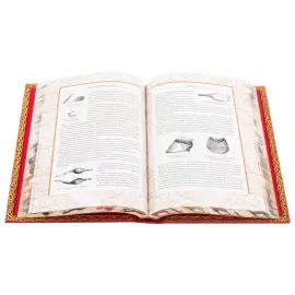Эксклюзивный подарочный комплект из 2 книг "Книга о лошади" на подставке