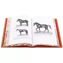 Эксклюзивный подарочный комплект из 2 книг "Книга о лошади" на подставке