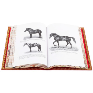 Эксклюзивный подарочный комплект из 2 книг "Книга о лошади" на подставке