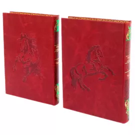 Эксклюзивный подарочный комплект из 2 книг "Книга о лошади" на подставке