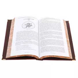 Книга в кожаном переплете "Сунь-Цзы. Искусство войны" в коробе