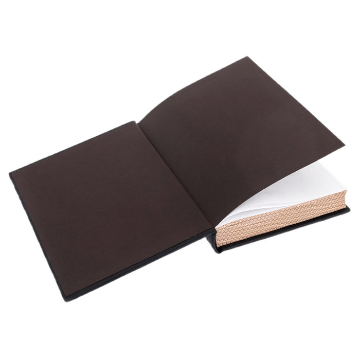 The leather-bound book "On guard of the Fatherland. Criminal Investigation Department of the Russian Empire" Putilin, Koshko