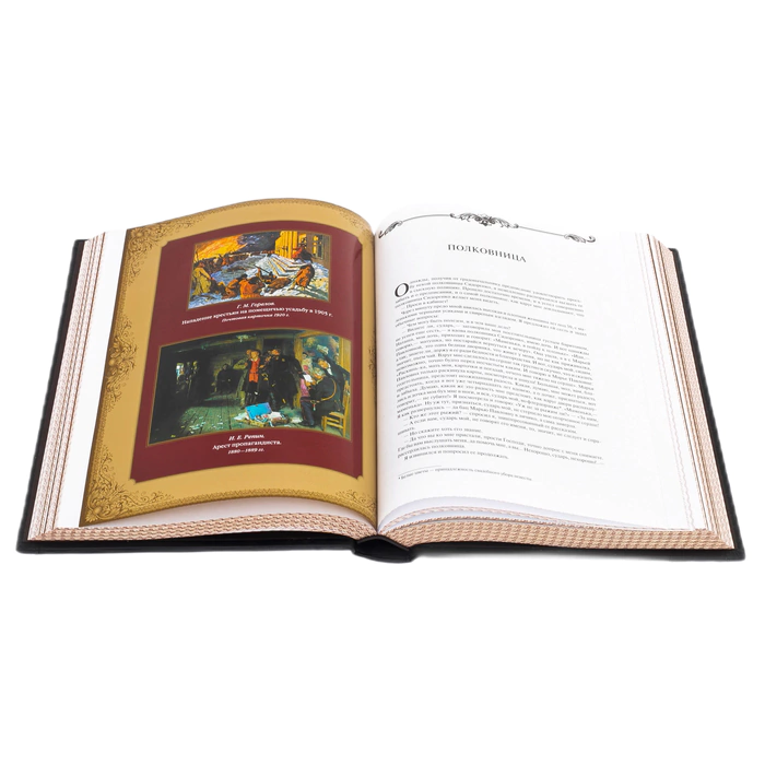 The leather-bound book "On guard of the Fatherland. Criminal Investigation Department of the Russian Empire" Putilin, Koshko