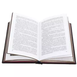 Книга в кожаном переплете ''Советские силовики"