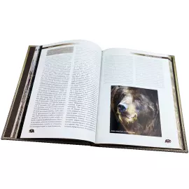 Книга в кожаном переплете "Охота на медведя"