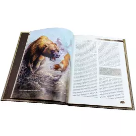 Книга в кожаном переплете "Охота на медведя"