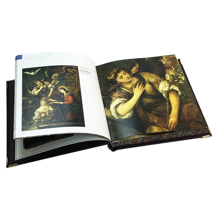 The leather-bound book "The Book of Power. Plato, Aristotle" in a case