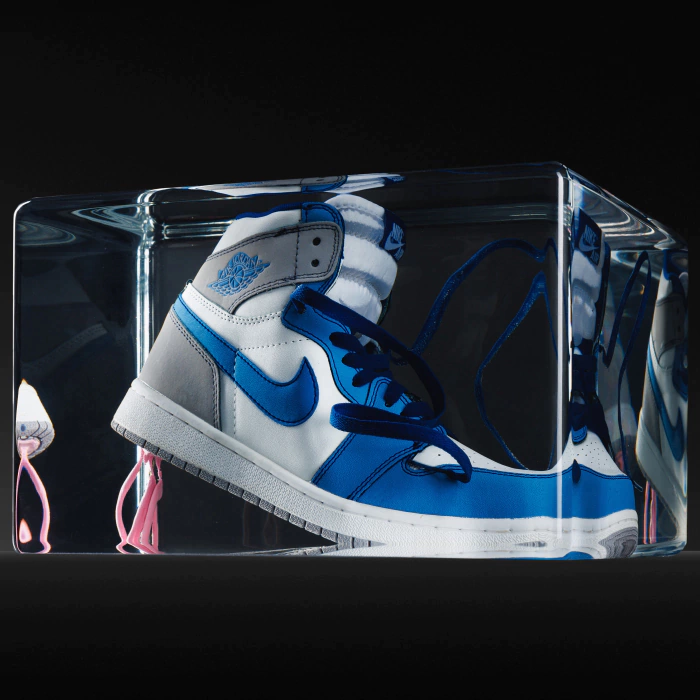 An art object in epoxy resin "Air Jordan"