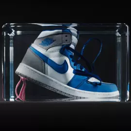 An art object in epoxy resin "Air Jordan"