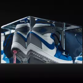 An art object in epoxy resin "Air Jordan"