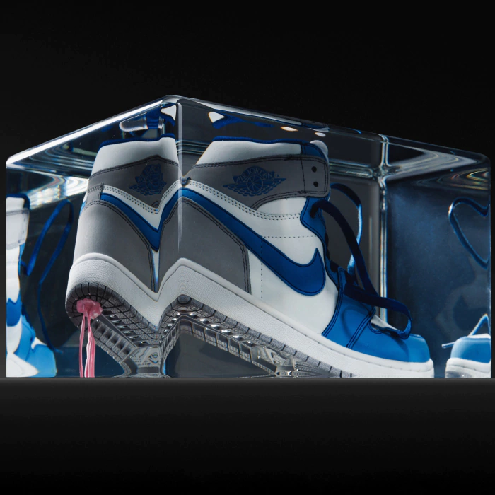 An art object in epoxy resin "Air Jordan"
