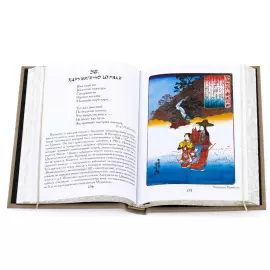 The book "Japanese Poetry"