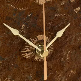 Table clock "Fossil" (Round fossil clock)