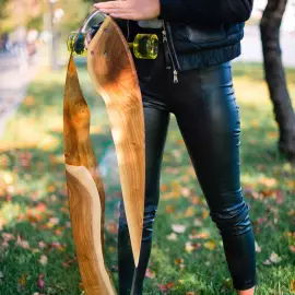 Longboard made of wood and epoxy resin