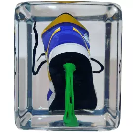 An art object in epoxy resin "Air Jordan"