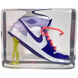 An art object in epoxy resin "Air Jordan"