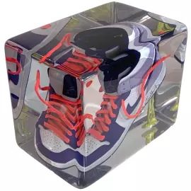 An art object in epoxy resin "Air Jordan"