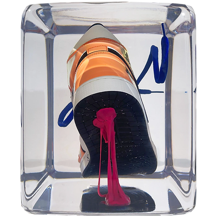 An art object in epoxy resin "Air Jordan"