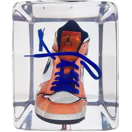 An art object in epoxy resin "Air Jordan"
