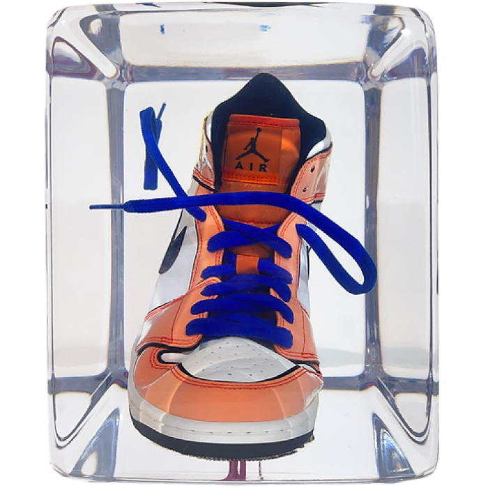 Арт-объект в эпоксидной смоле "Air Jordan"