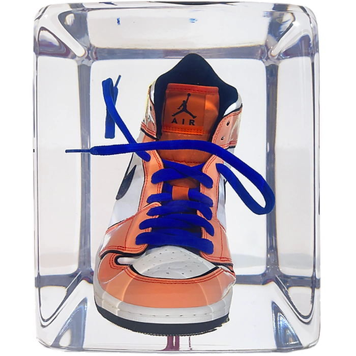 An art object in epoxy resin "Air Jordan"