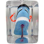 An art object in epoxy resin "Air Jordan"
