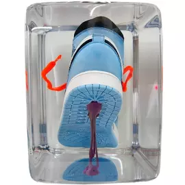 An art object in epoxy resin "Air Jordan"
