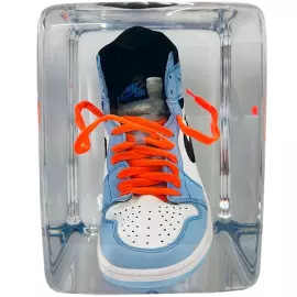 An art object in epoxy resin "Air Jordan"