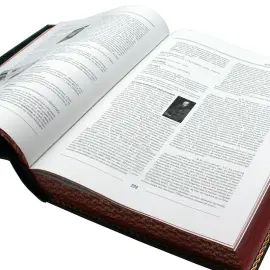 Подарочная книга в кожаном переплёте "Игорный дом" Подарочная книга в кожаном переплёте "Игорный дом"