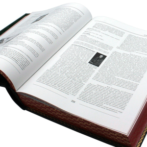 Подарочная книга в кожаном переплёте "Игорный дом"